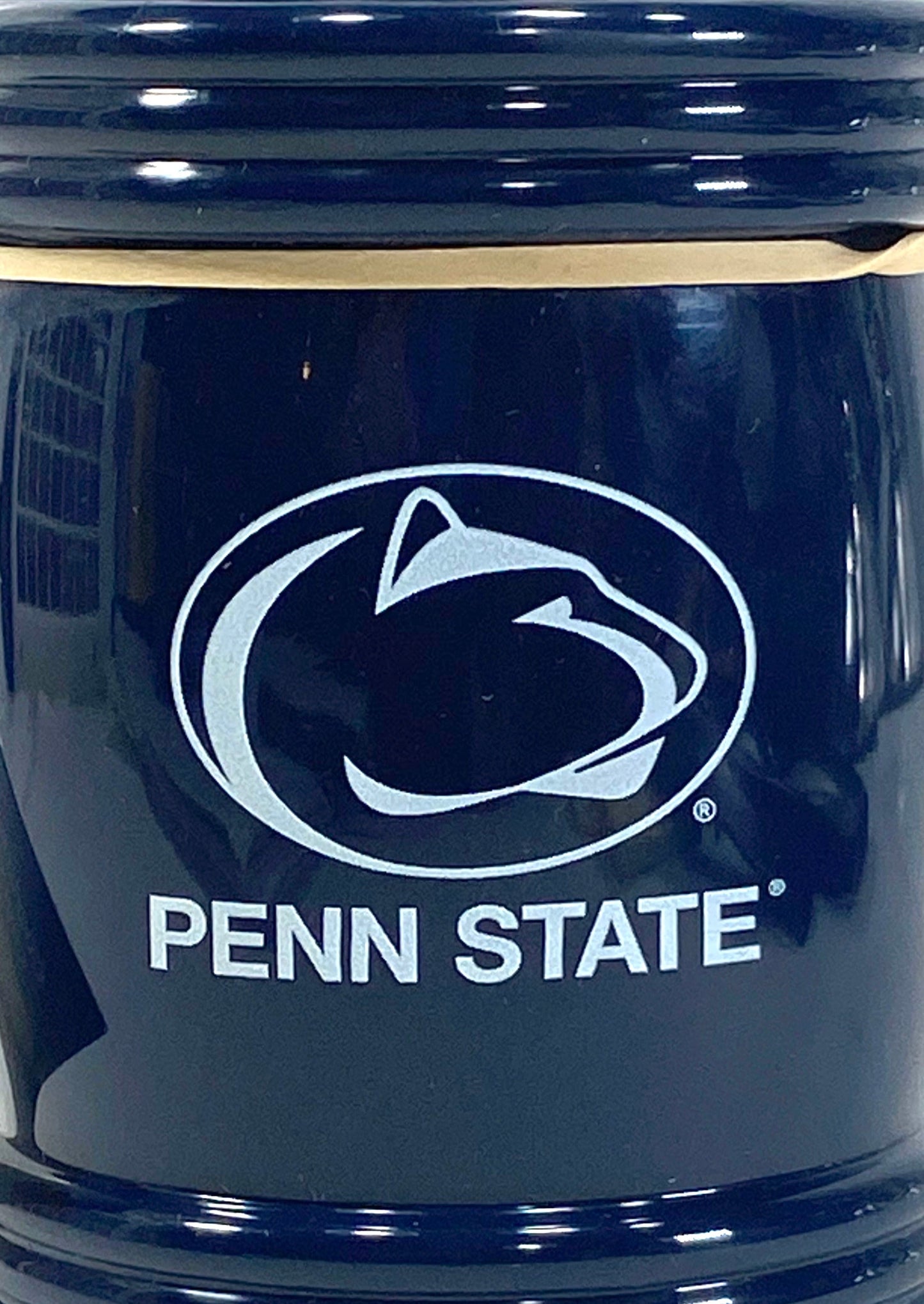 Penn State Nittany Lions NCAA 2015 NOS Magna Coolie