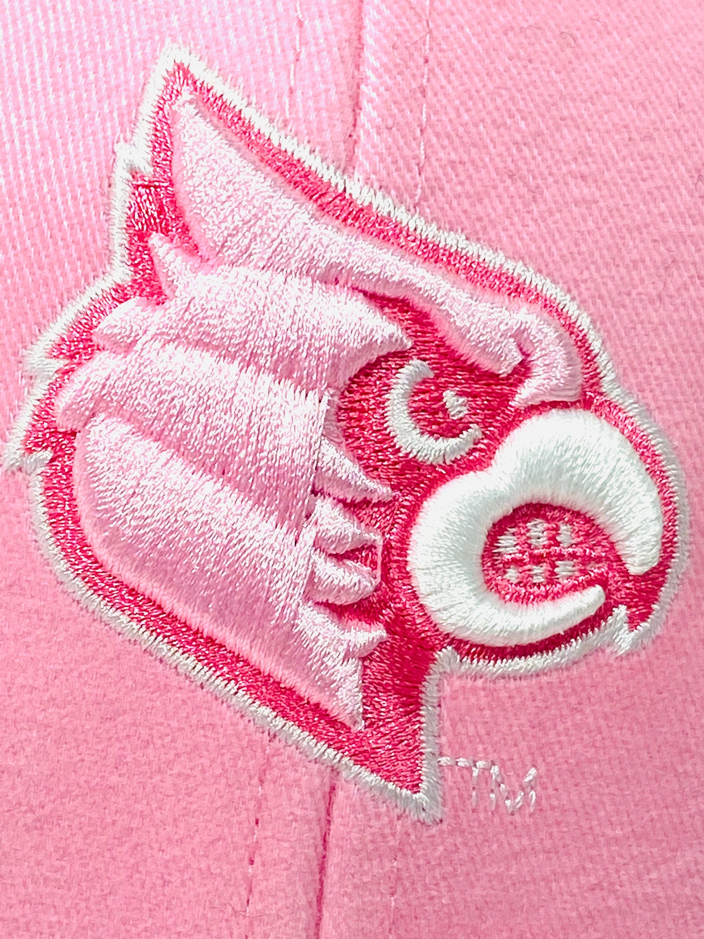 Louisville Cardinals 2017 NCAA Women's Pink NOS Embroidered Hat