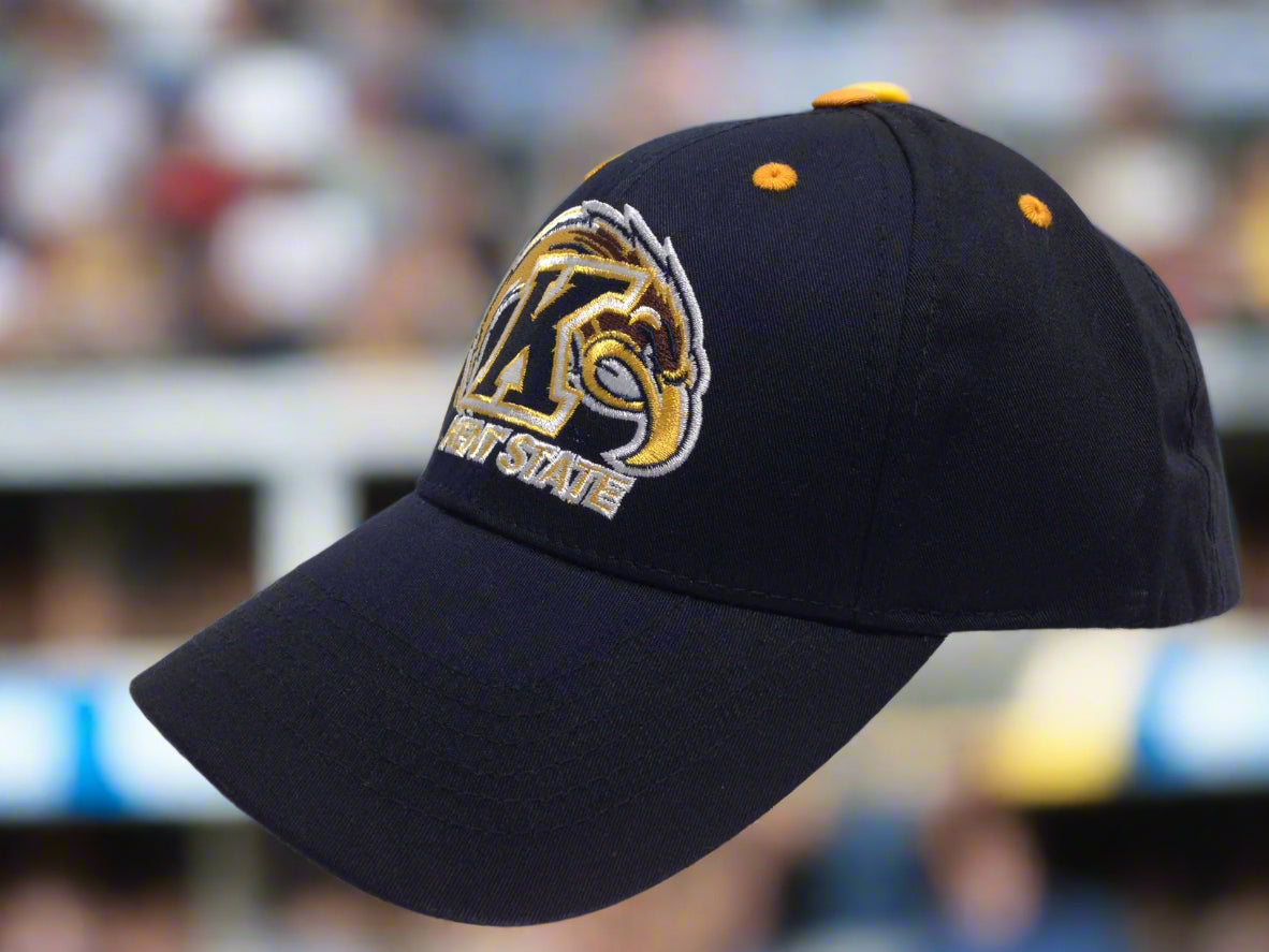 Kent State Golden Flashes NCAA 2018 Embroidered NOS Cap