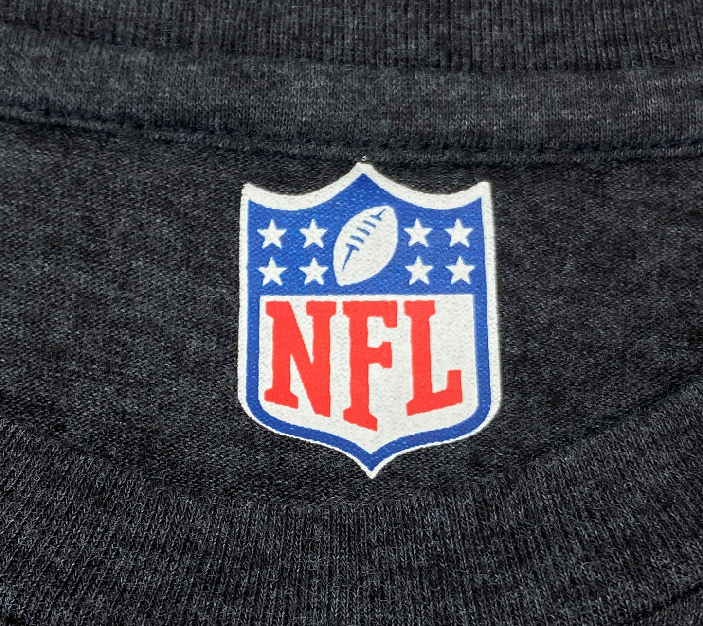 Carolina Panthers NFL Tri-Blend "Belong" Lg NOS T- Shirt