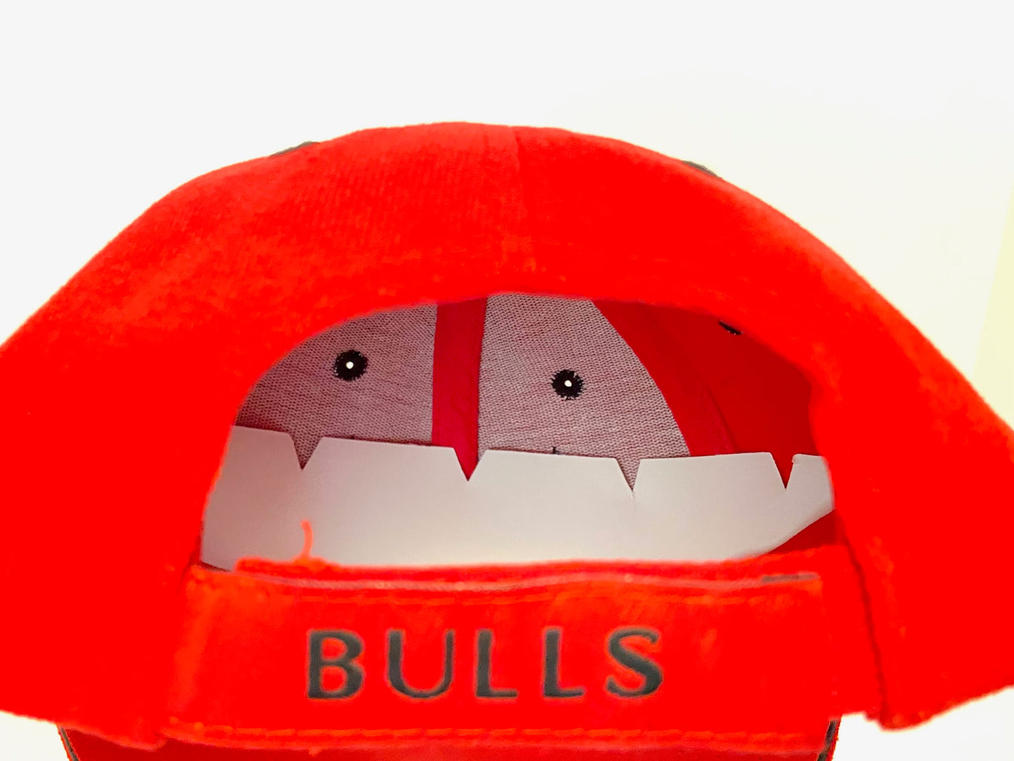Chicago Bulls Classic NBA Red Bull NOS Hat
