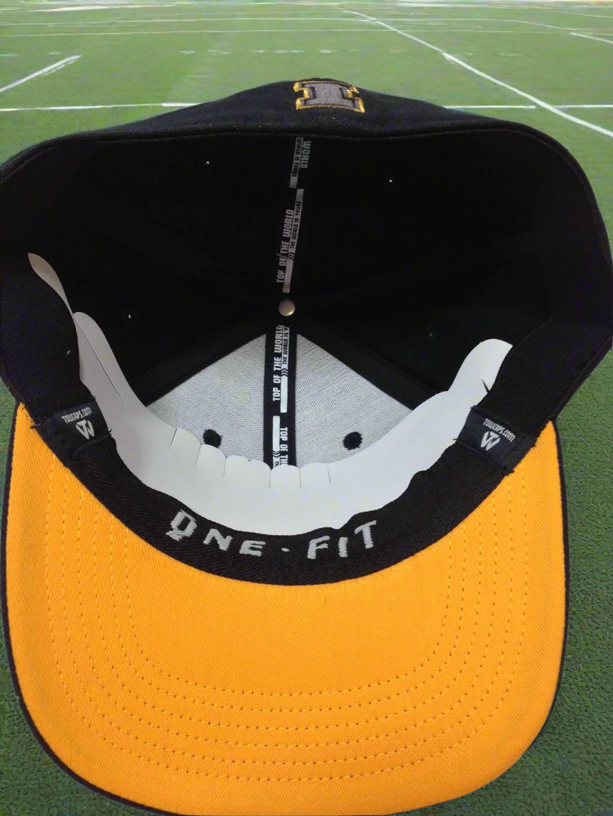 Iowa Hawkeyes 2016 NCAA 3-D Embroidered One-Fit NOS Stretch Cap