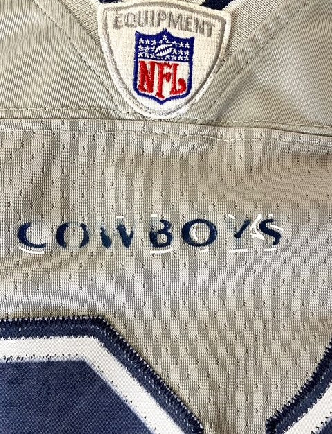 Roy Williams NFL Dallas Cowboys #31 Stitched Lg Silver Used Jersey