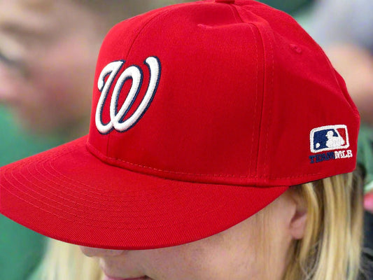 Washington Nationals 2017 MLB 300 Style Adjustable Home Cap